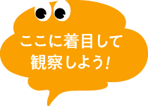 川の生き物探検隊ページ 環境広場さっぽろ 公式 バーチャルツアー1月9日 土 14日 木 川の生き物探検隊ページ 環境広場さっぽろ 公式 バーチャルツアー1月9日 土 14日 木