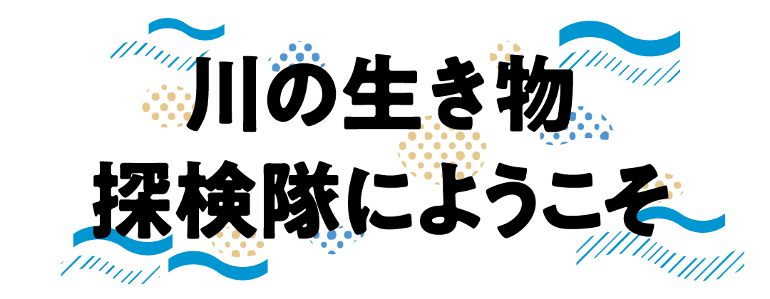 kawa_logo