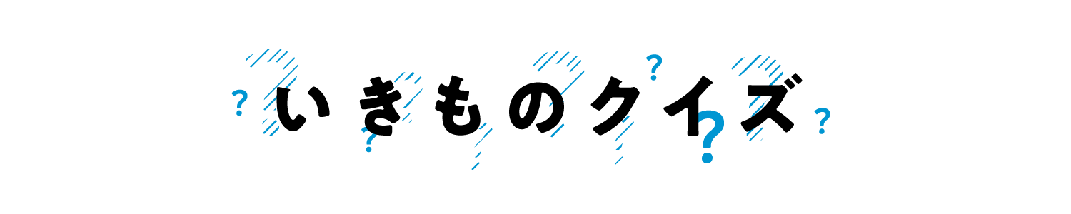 ikimono_quiz_title