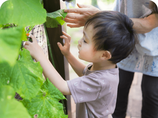 学校や家庭内のエコライフ推進