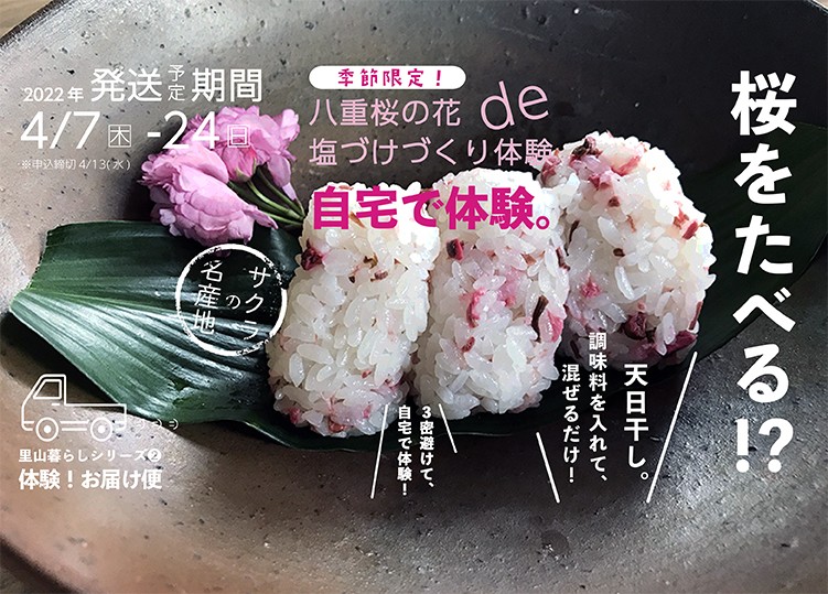 終了しました 桜を食べる 八重桜の花de塩漬けづくり体験 地球にやさしい子ども達を育む環境教育メディア