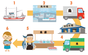 【エコチル特集】地元＆旬の魚は、体に地球に、いいこといっぱい”しずまえ”の鮮魚をもっと食べよう！｜地球にやさしい子ども達を育む環境教育メディア